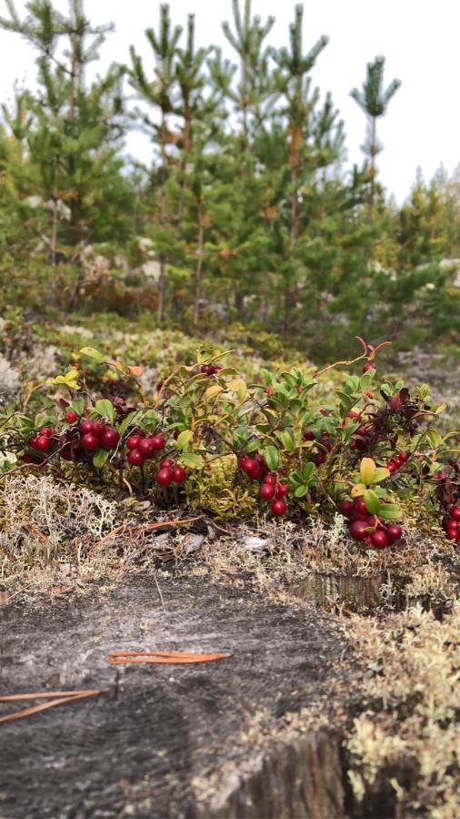 Готель Glampingtaelt Турсбю Екстер'єр фото